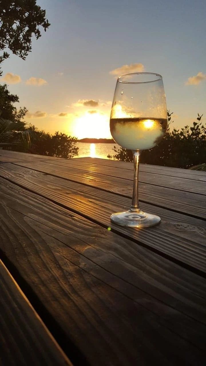 wine glass